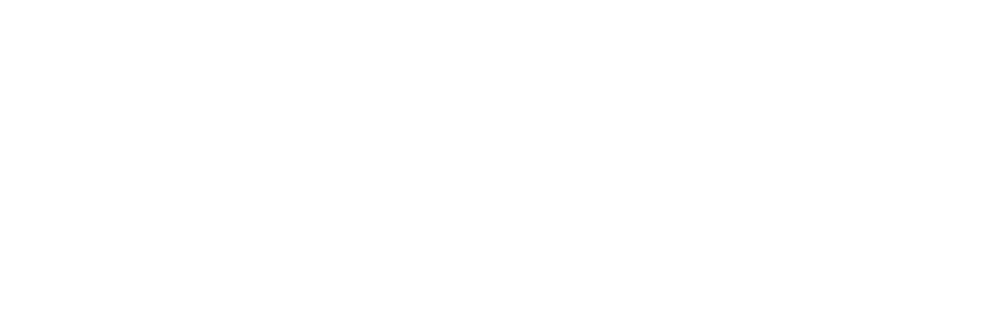Virdx Logo